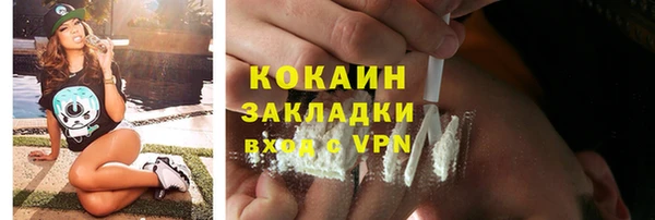Альфа ПВП Богородск