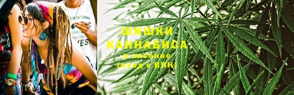 дмт Богородицк