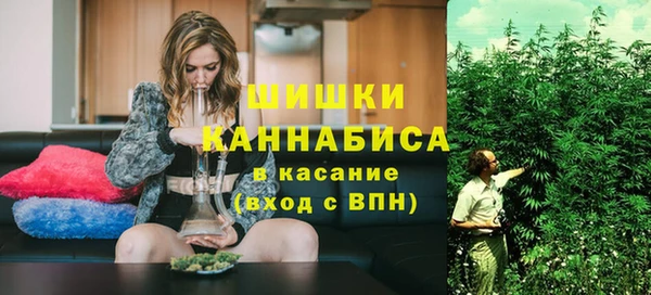 дмт Богородицк