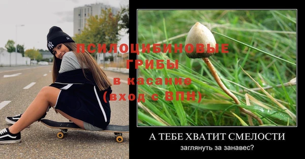 дмт Богородицк