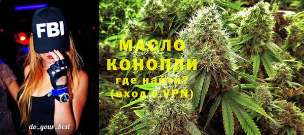 дмт Богородицк