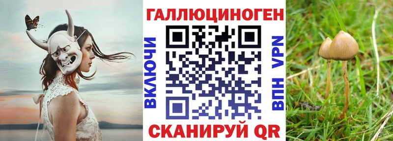 Галлюциногенные грибы мицелий  Невель 