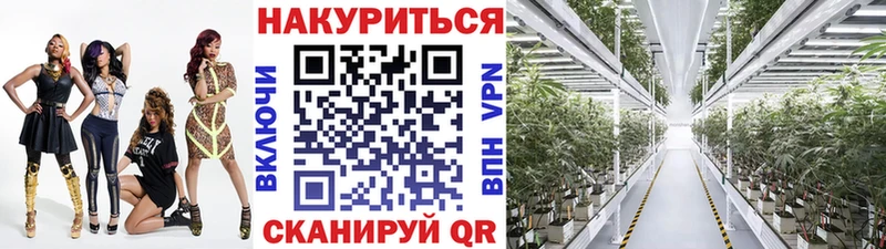 Марихуана SATIVA & INDICA Невель